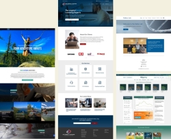I will develop wordpress website and ecommerce store
