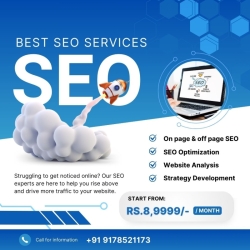 Tailored SEO Solutions to Drive Organic Growth